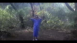 Zé Simples - À Vontade