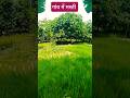 Kuch Kuch Hota Hai Hindisong Trendingreels Viralvideo Short Trendingvideo Shortsfeed Kuch Kuch Hota Hai Hindisong Trendingreels Viralvideo Short Trendingvideo Shortsfeed