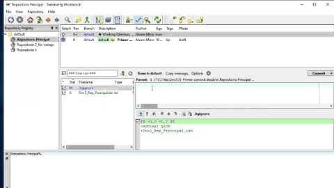 TortoiseHG - Ejemplo