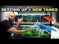 SETTING UP 4 New STUNNING Aquariums For SHRIMP!! (nano planted tank rack)