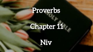 proverbs Chapter 11 niv ||Audio Bible #bookofproverbs #bibleaudio