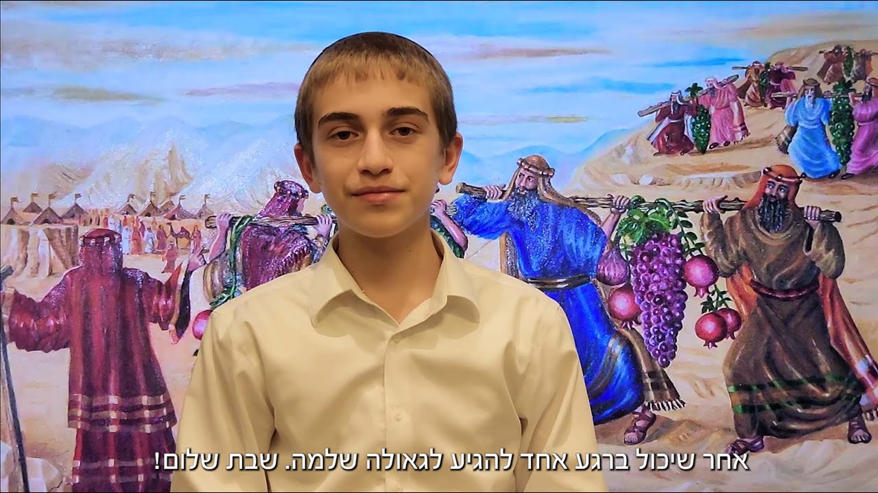 זום על הפרשה עם צבי שמואלי - פרשת שלח - YouTube