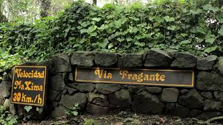 Amacampo Y Vía Fragante