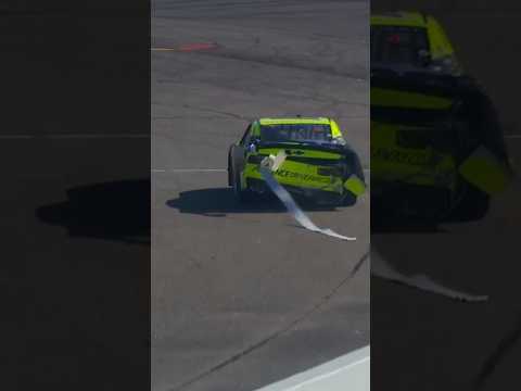 That stuff is expensive 💸