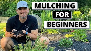 Mulching Flower Beds - How and Why