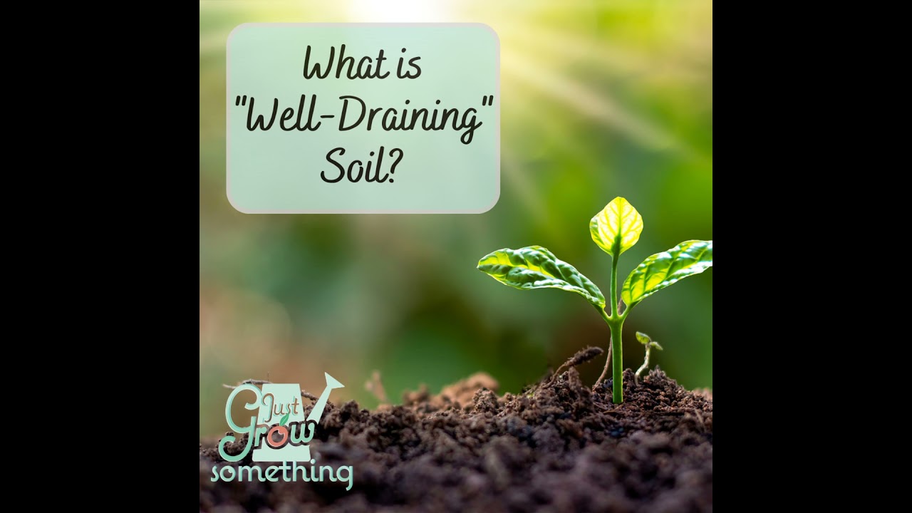 What is Well-Draining Soil? - Ep. 153