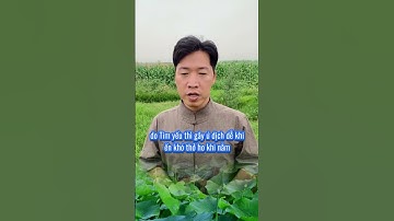 M..ẹo tiện ích gửi tới bà con cô bác#não #xươngkhớp #duocsiquan