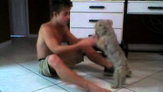 Capture 20120810 1