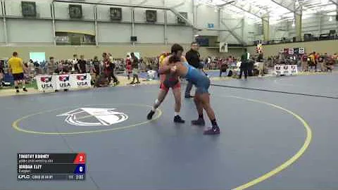 65 Consi of 64 #1 - Timothy Rooney (golden pride W...
