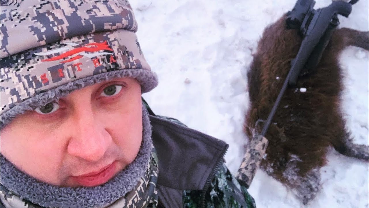 Охота на кабана 2021-2022. На кабана с вышки. Охота с тепловизором ...