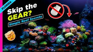 No Filter Socks?! Simple Reefing Secrets with JC from Polo Reef