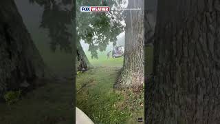 Information š©ļø FLASH WARNING: A Group Of Golfers Had Quite The Scare When One Of Them Was Struck By Lightning Update