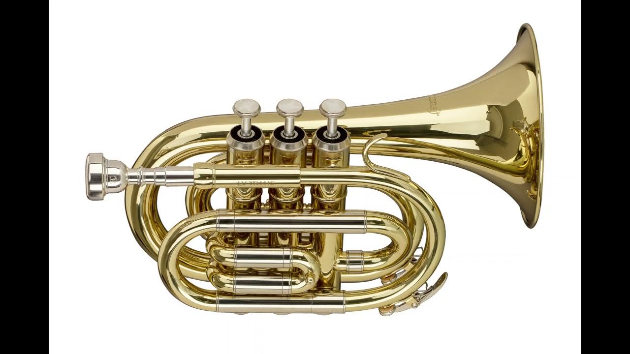 pocket trumpet noise YouTube