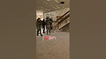 فأر يرعب جنود الاحتلال في غزة 