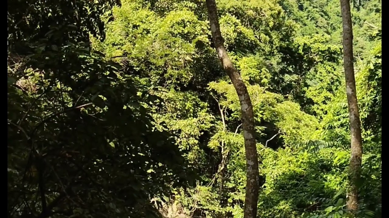 Budlaan falls to Mt. Kang-irag Peak