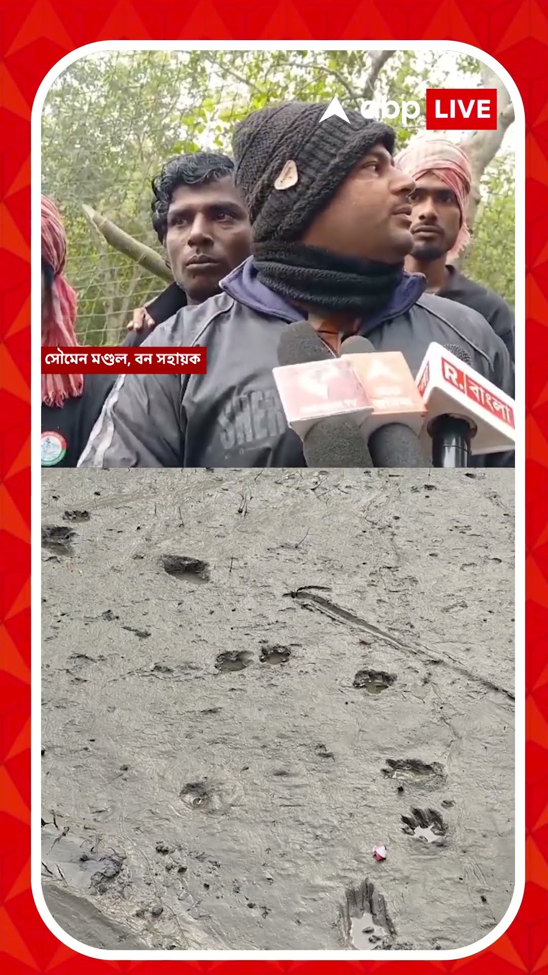 টোপ না খেয়েই জঙ্গলে ফিরে গেছে রয়্যাল বেঙ্গল ? কী দাবি বনদফতরের ?