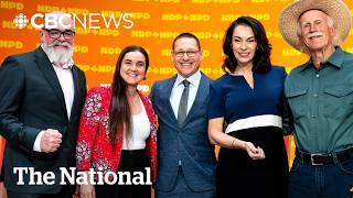 NDP members gather to select new leader for struggling party Wealth