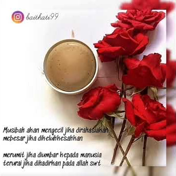 snap wa