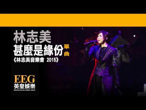 林志美《甚麼是緣份》[林志美音樂會 2015] [Lyrics MV]