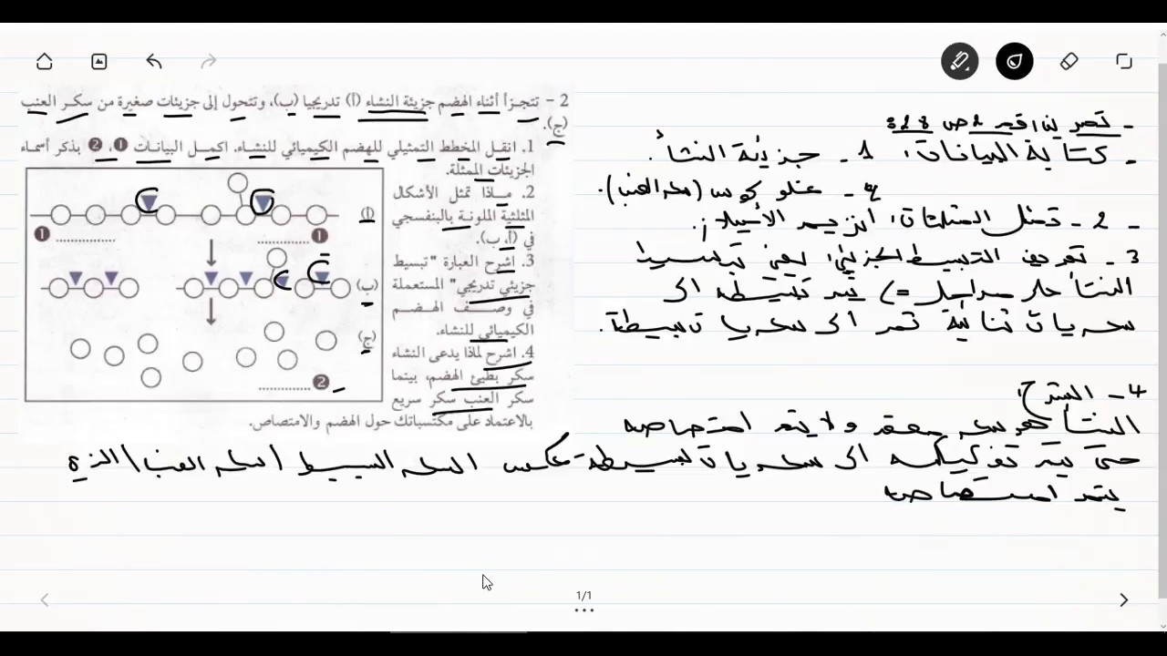 حل التمرين الثاني صفحة 28 من الكتاب المدرسي علوم الطبيعة و الحياة