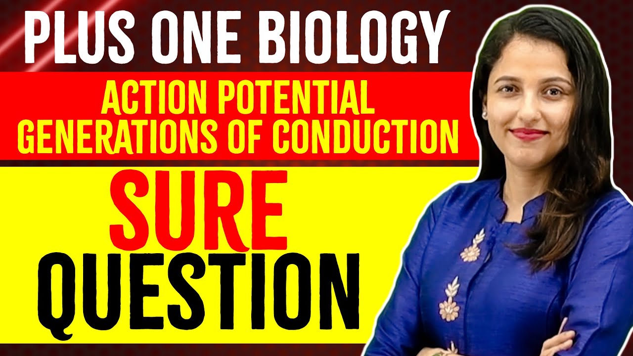Plus One Biology Public Exam | Sure questions | Action Potential Generations of Conduction