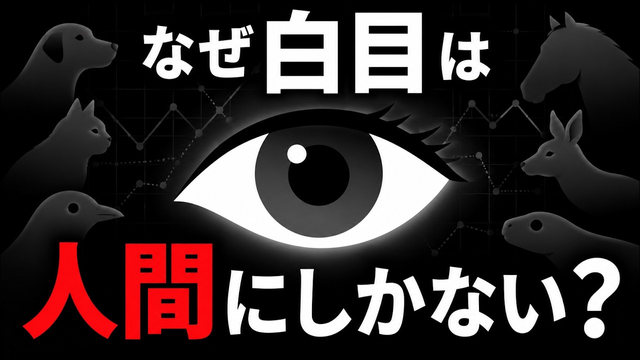 なぜ人間だけが「白目」を持つのか?【データストーリーテリング】