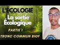 Ecologie Chapitre 1 La Sortie Г Cologique Partie 1 SVT Tronc COMMUN BIOFрџ Ґвњ пёЏ Ecologie Chapitre 1 La Sortie Г Cologique Partie 1 SVT Tronc COMMUN BIOFрџ Ґвњ пёЏ