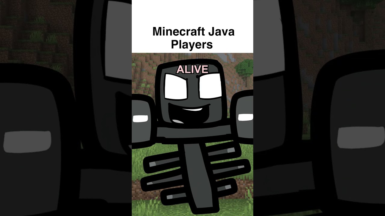 Java vs Bedrock Madness! 😂😂