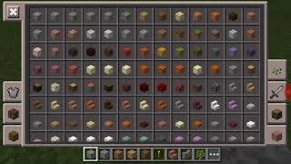 11 Января 2019 Г.