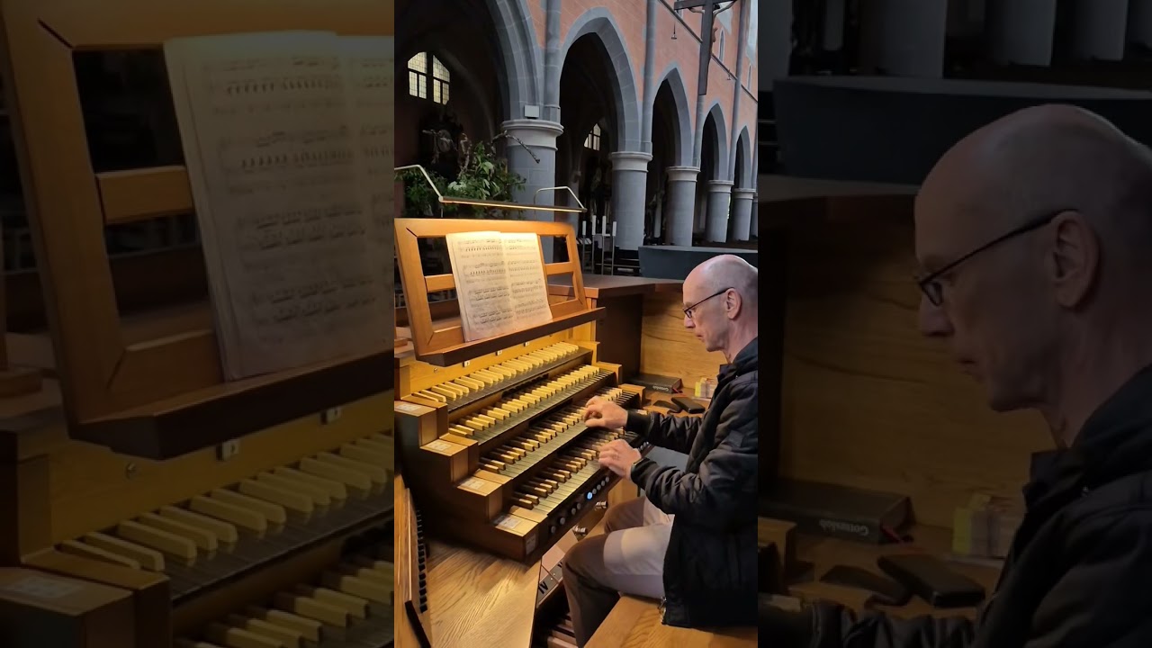 Organmusic! Joyful Pipes  (Rieger-Organ) Abtei Marienstatt 