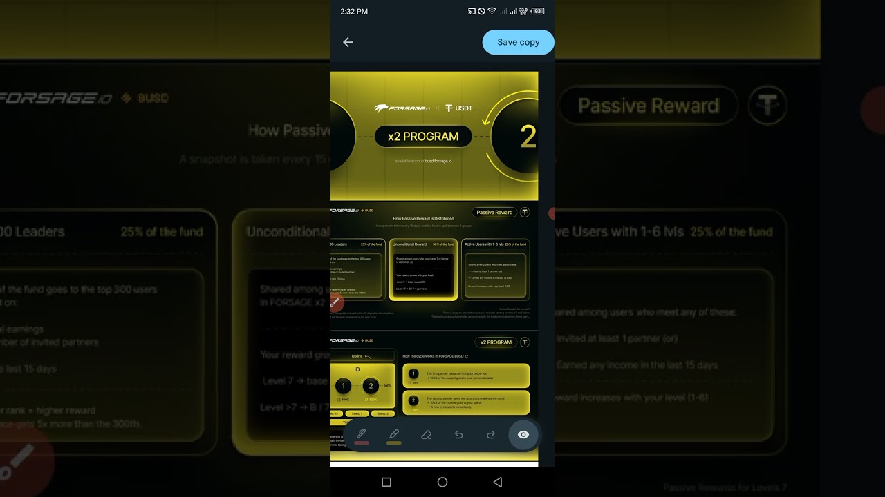Forsage x2 program working plan 