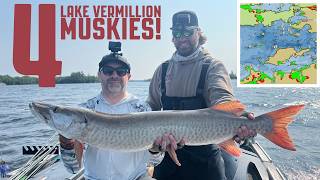 Thorne Bros | 4 Muskies on Lake Vermilion!