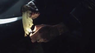 Dead Meat Cerberus Project Fw 2016