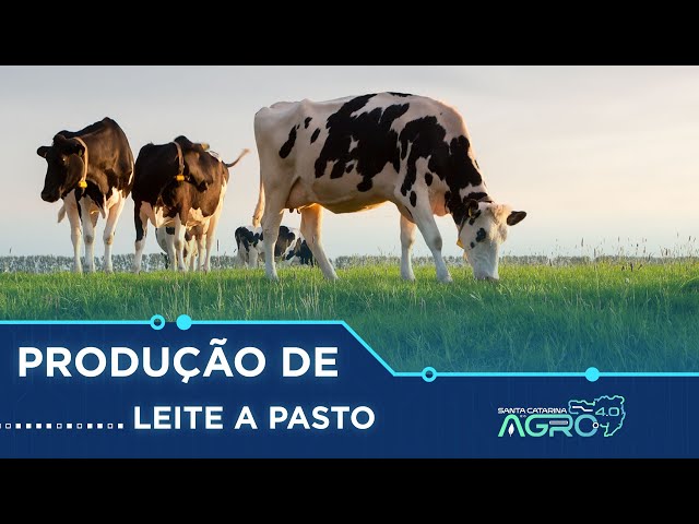 Tecnologias para alavancar a produção| Canal Rural