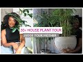 30+ House Plant Tour 2020