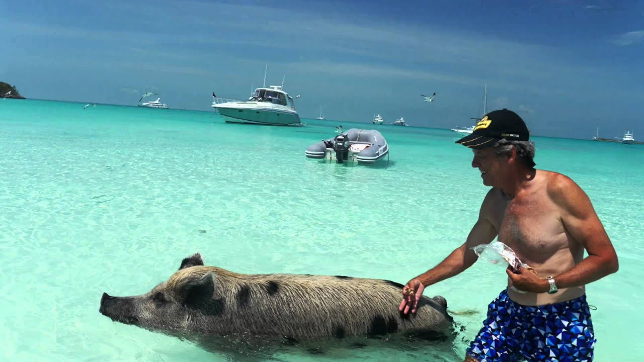 SV Echo Echo Sailing the World Bahamas Part 1- Neil and Jeanette's Adventures