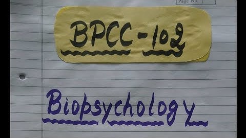 BPCC 102 ENGLISH MEDIUM HANDWRITTEN ASSIGNMENT 2021-22 | FOR PDF WHATSAPP ON 9354372788