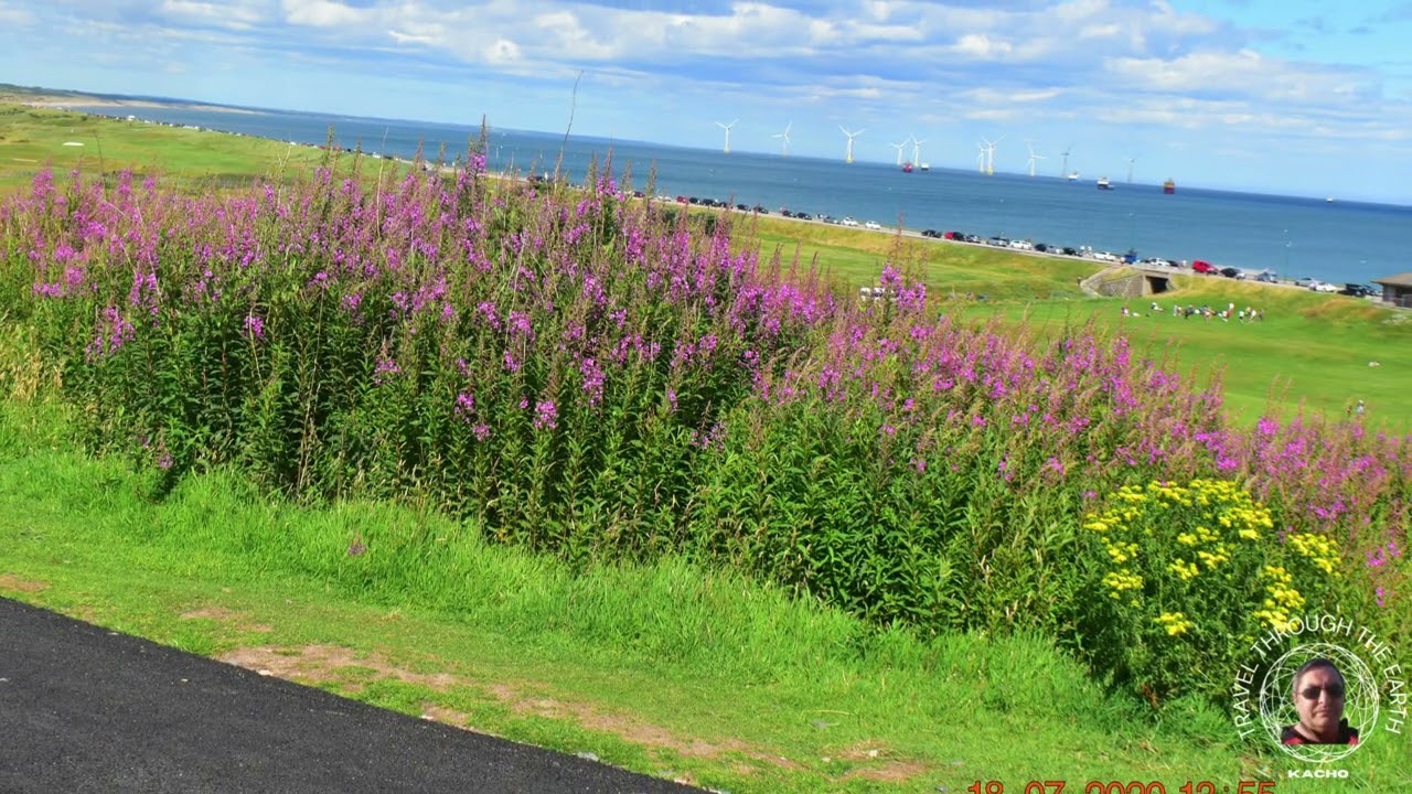 Aberdeen Beach |Travel through the Earth| Foods, Culture, Historical buildings, places/attractions