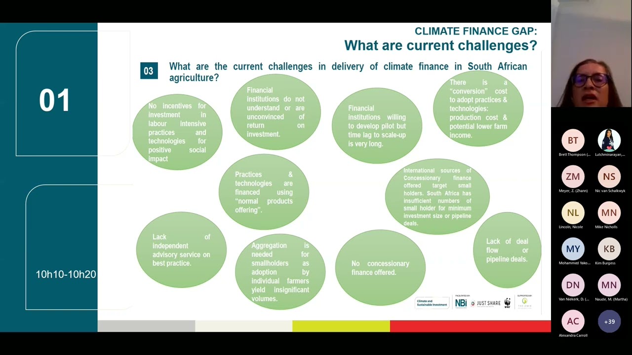Still from Climate Finance for Sustainable Agriculture webinar