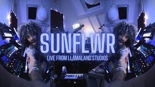 Youngr - 'Sunflwr' Post Malone & Swae Lee (Live From Llamaland Studios)