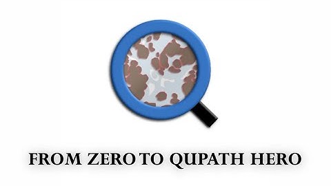 From Zero to QuPath Hero: Introduction