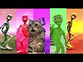 Dame Tu Cosita FULL HD All Variation Dame TuCosita Music Video 2025