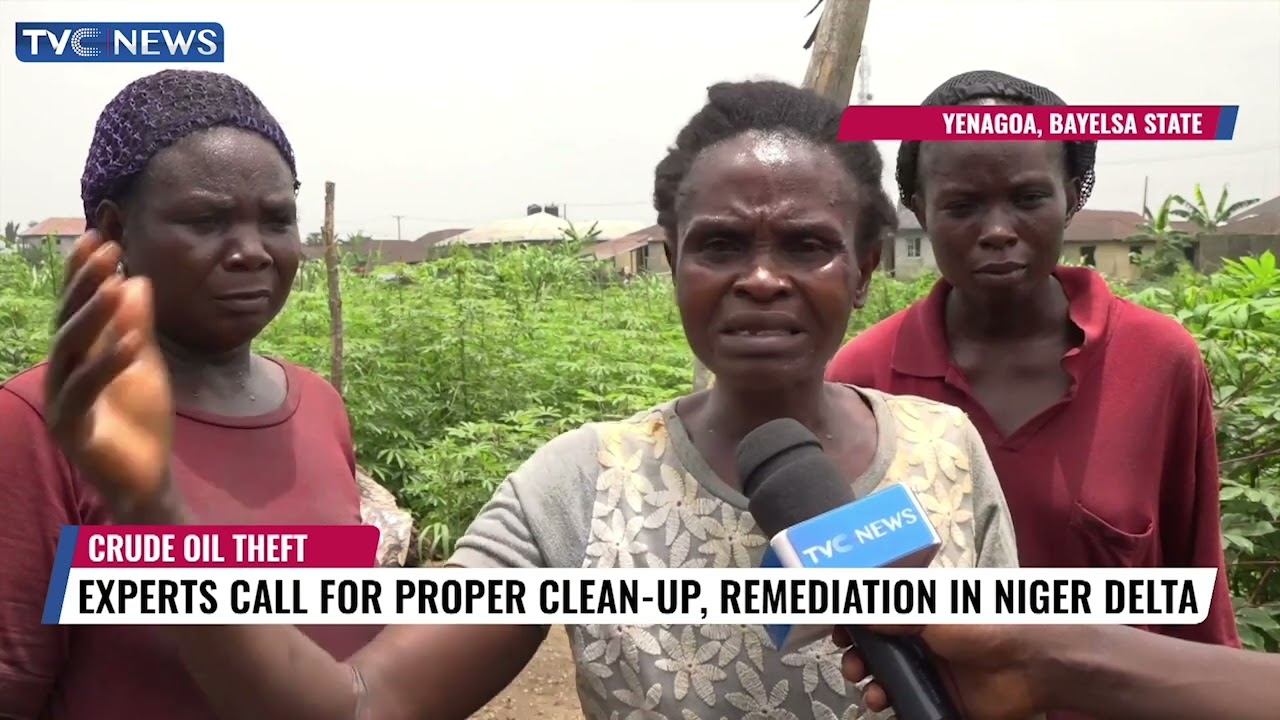 Crude Oil Theft: Experts Call For Proper Clean Up, Remediation In Niger Delta