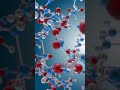 What is Quantum Gravity?