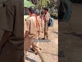 Lucu Banget, Bocah Pramuka Bawa Ayam Hidup Saat Camping #shorts