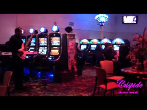 Dice Bonanza | Grand Lisboa Macau #shortvideo #macau #casino #travel