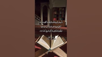 وأحيط بثمره فأصبح يقلب كفيه على ما أنفق فيها / سورة الكهف / الشيخ راشد الحليبة