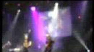 Yellow Brick Road - Natural Science