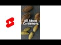All About Cardamom #Shorts