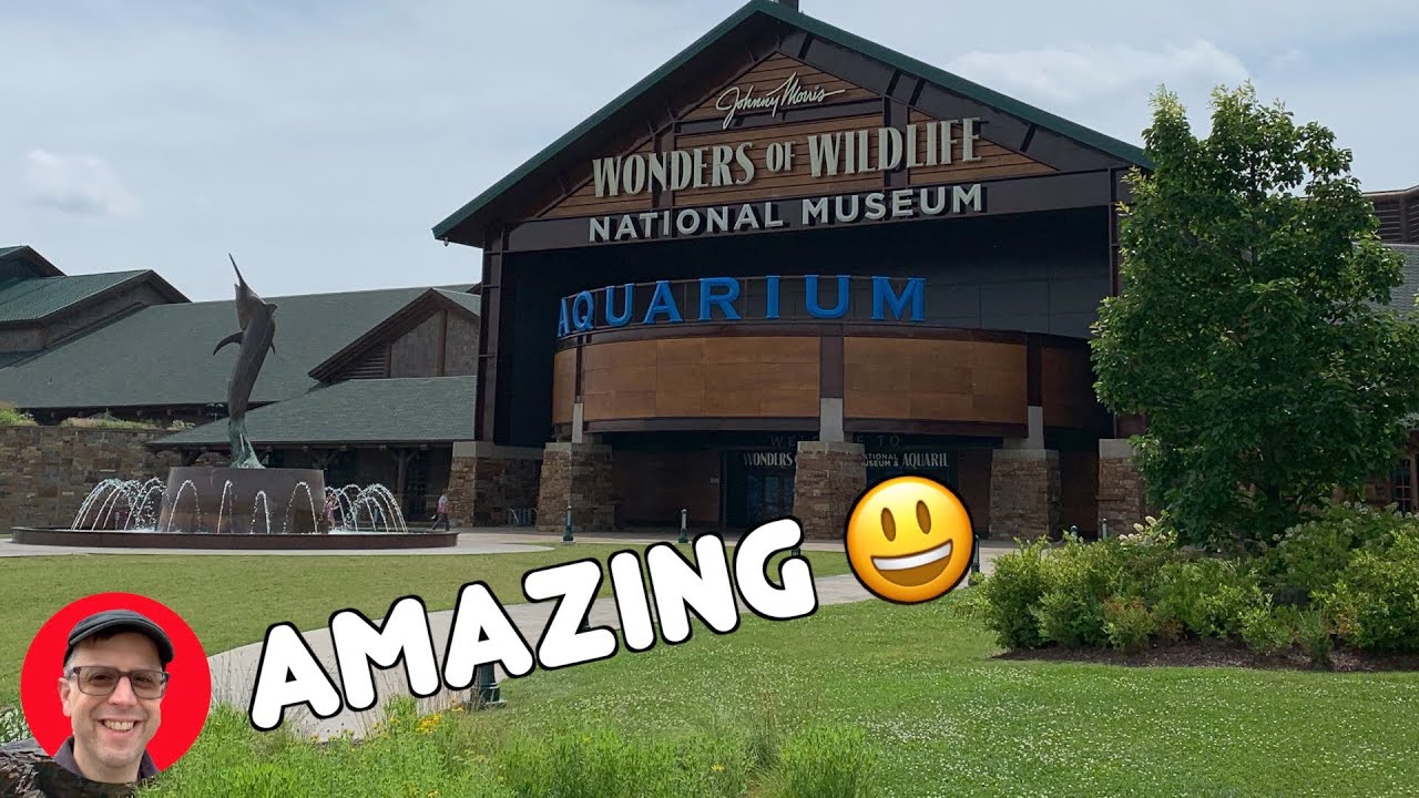 Aquarium at the Wonders of Wildlife Museum 😃 Aquarium tour 👍 ... - MaxresDefault